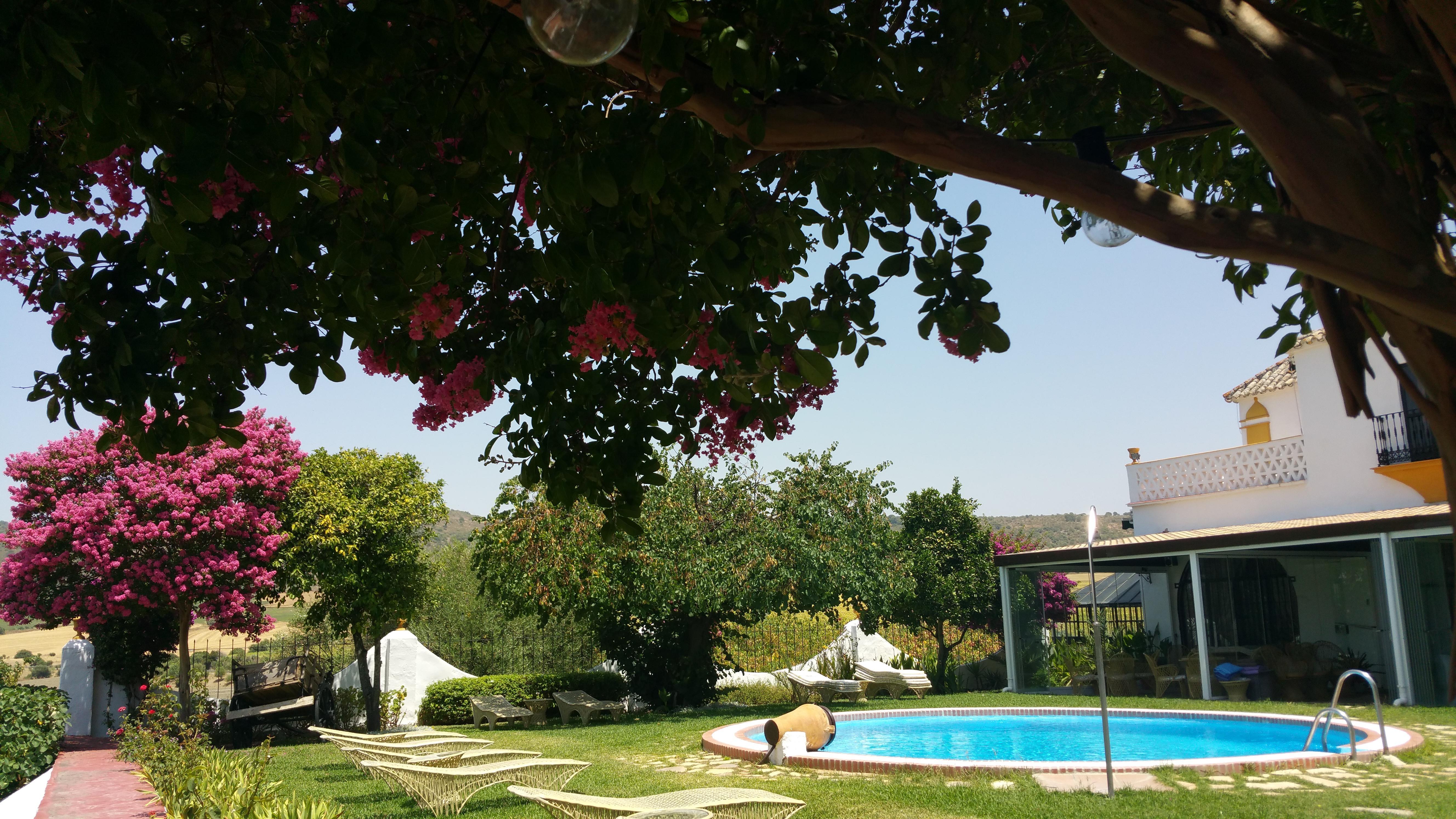Hacienda El Santiscal Adults Only Otel Arcos de la Frontera Dış mekan fotoğraf