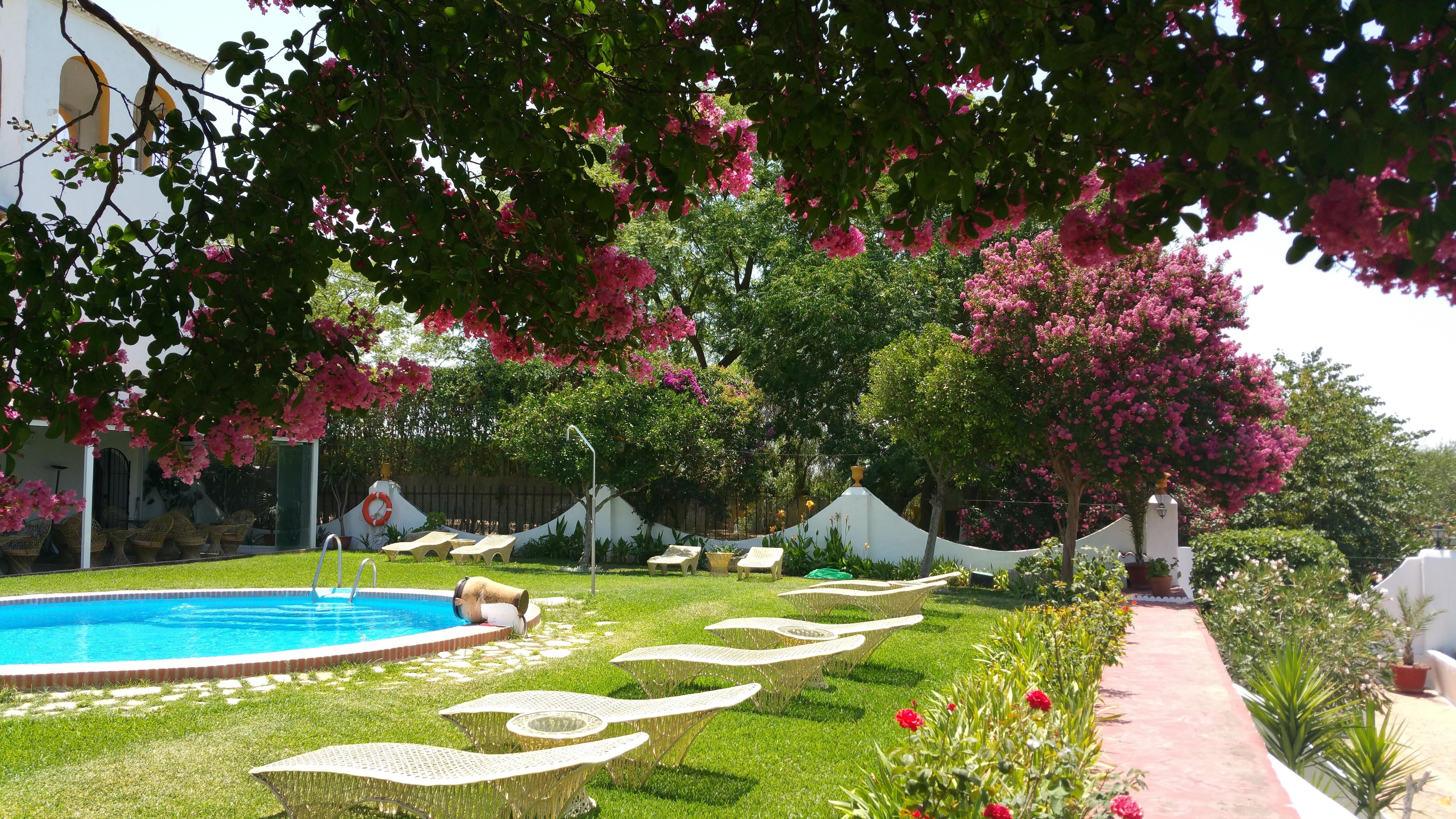 Hacienda El Santiscal Adults Only Otel Arcos de la Frontera Dış mekan fotoğraf