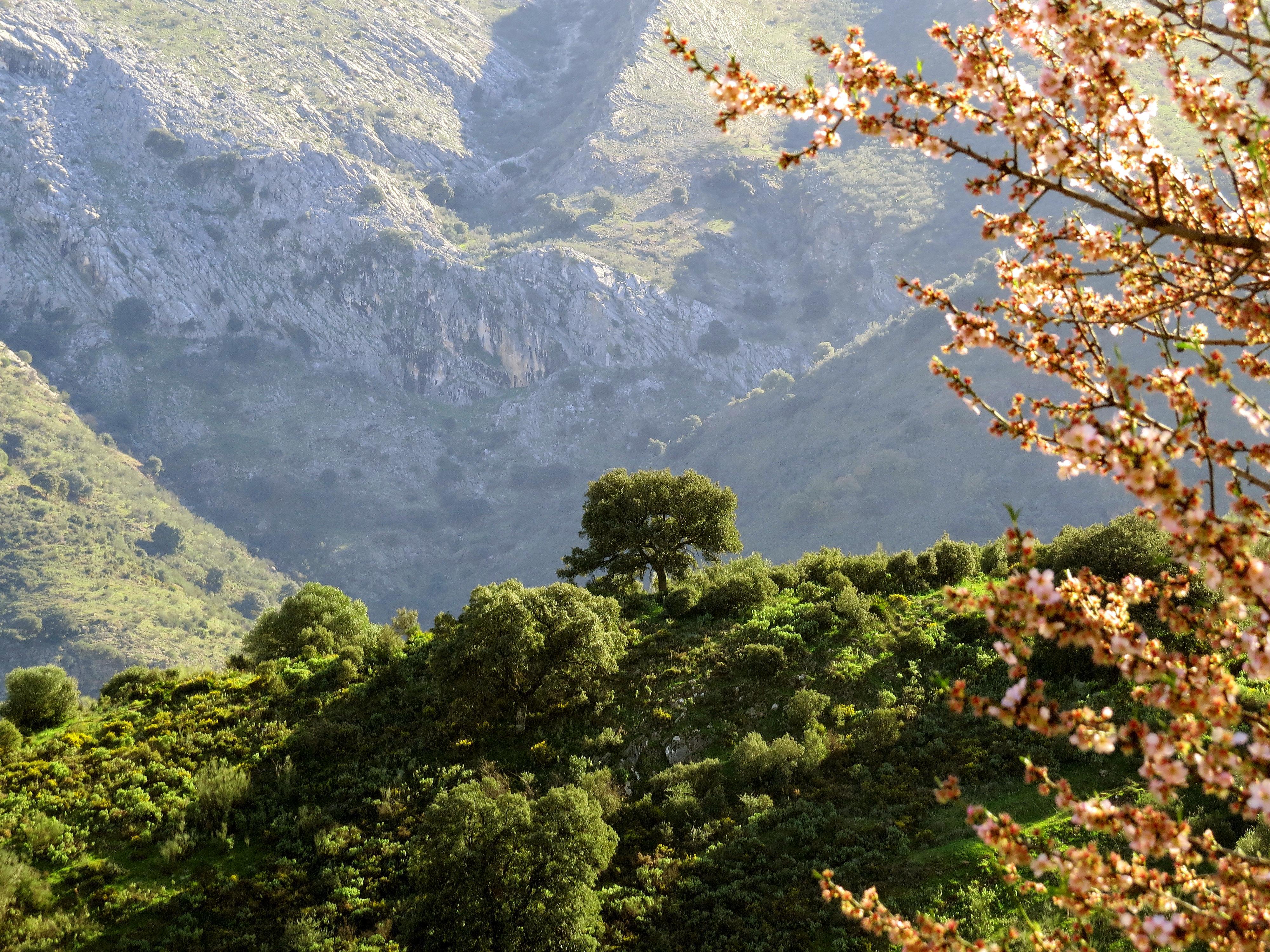 Hacienda El Santiscal Adults Only Otel Arcos de la Frontera Dış mekan fotoğraf