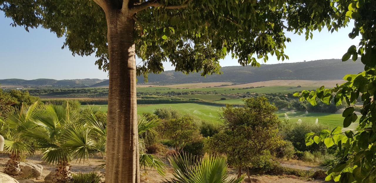 Hacienda El Santiscal Adults Only Otel Arcos de la Frontera Dış mekan fotoğraf