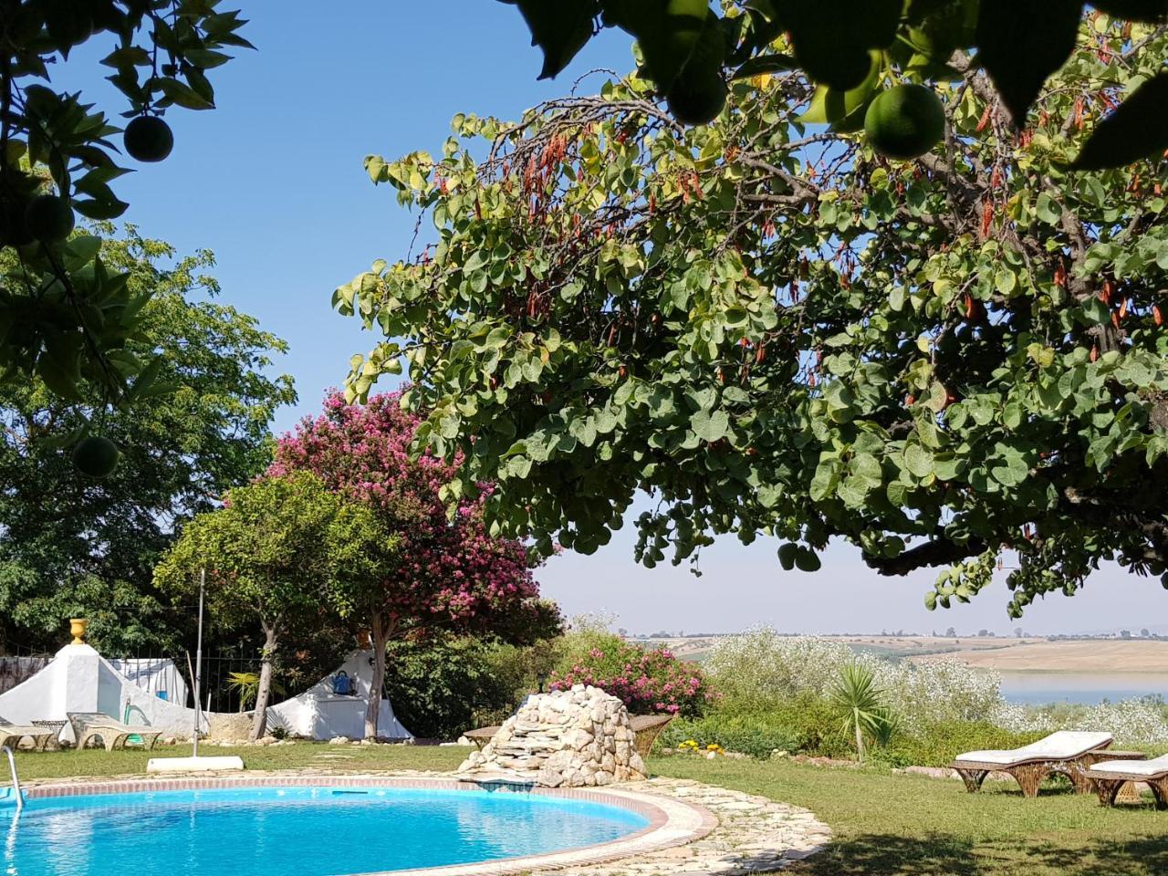 Hacienda El Santiscal Adults Only Otel Arcos de la Frontera Dış mekan fotoğraf